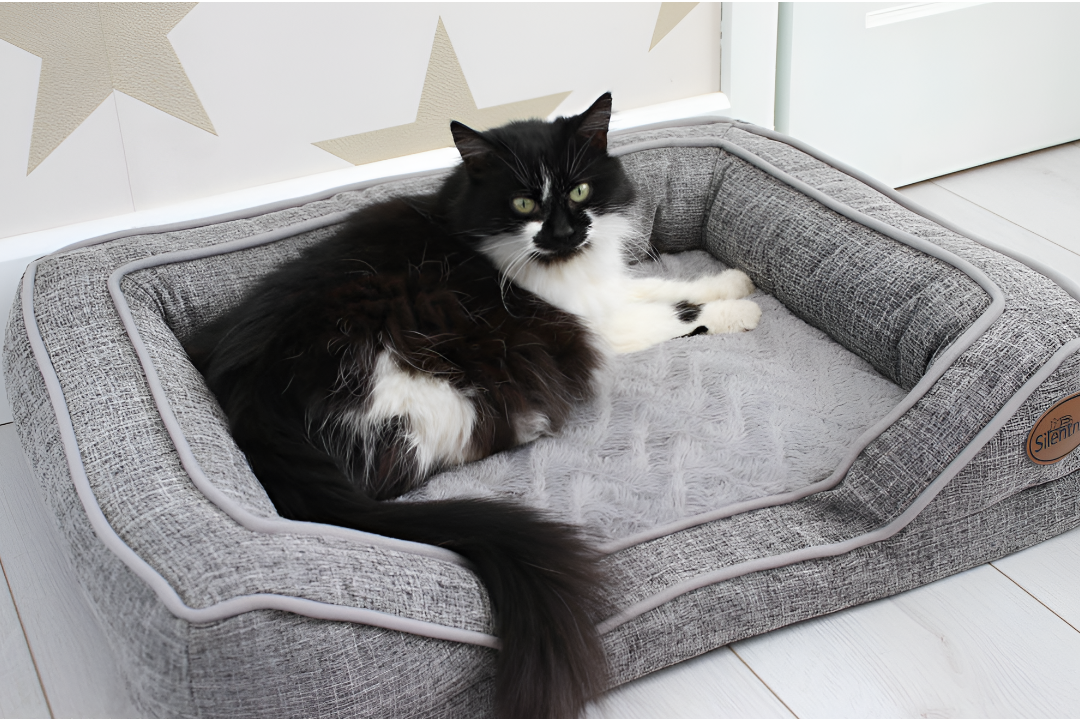Choosing the Perfect Bed for Your Pet